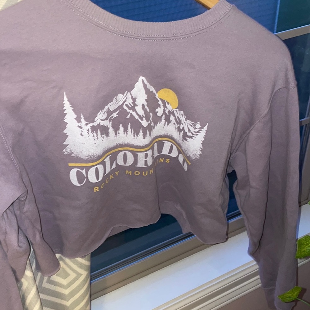 HOLLISTER purple cropped hoodie very cute! size S